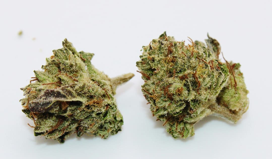 Slurty 8th/3.5 grams (32% THC, Indica)