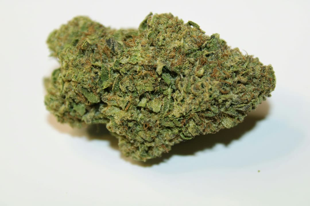 Horchata 8th/3.5 Grams (29% THC, Hybrid)