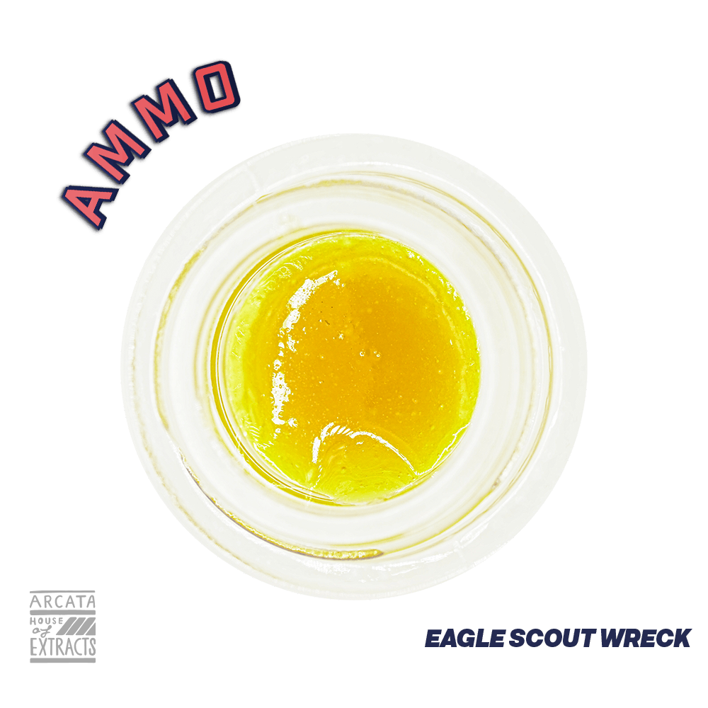 Eagle Scout Wreck - Loaded Live™ Resin