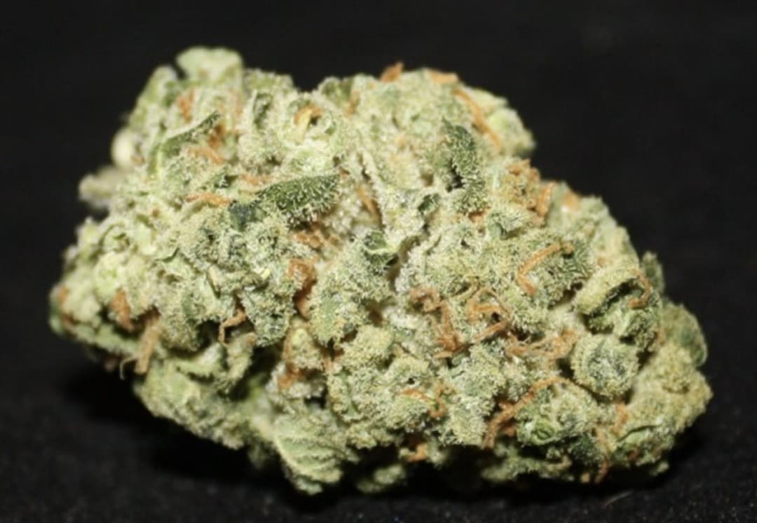 Laughing Gas - Hybrid - 39% THC
