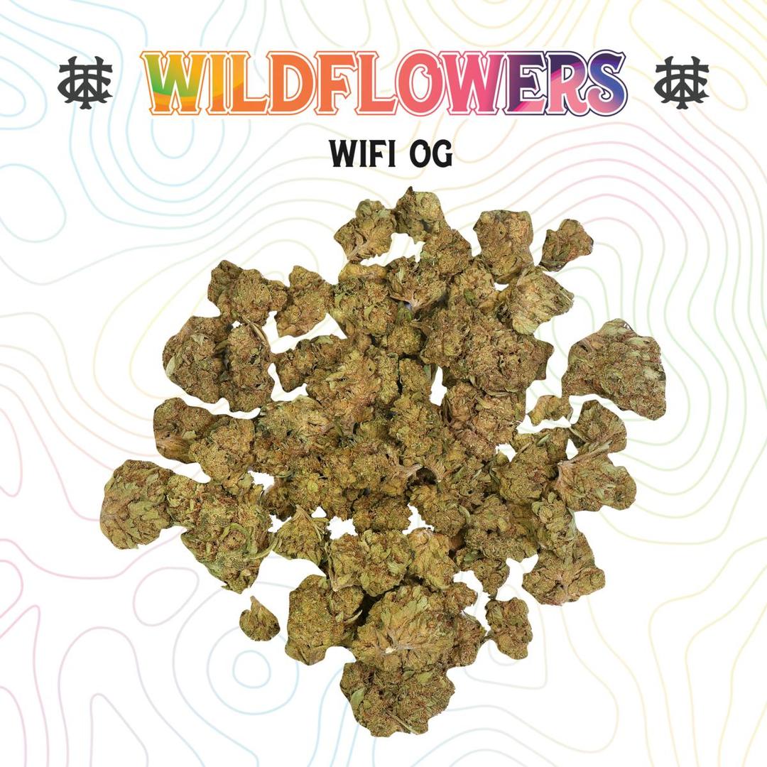 Wifi OG | 14g | Sungrown