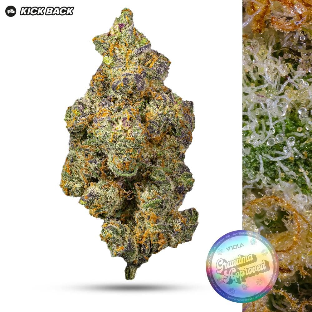 Apple Fritter