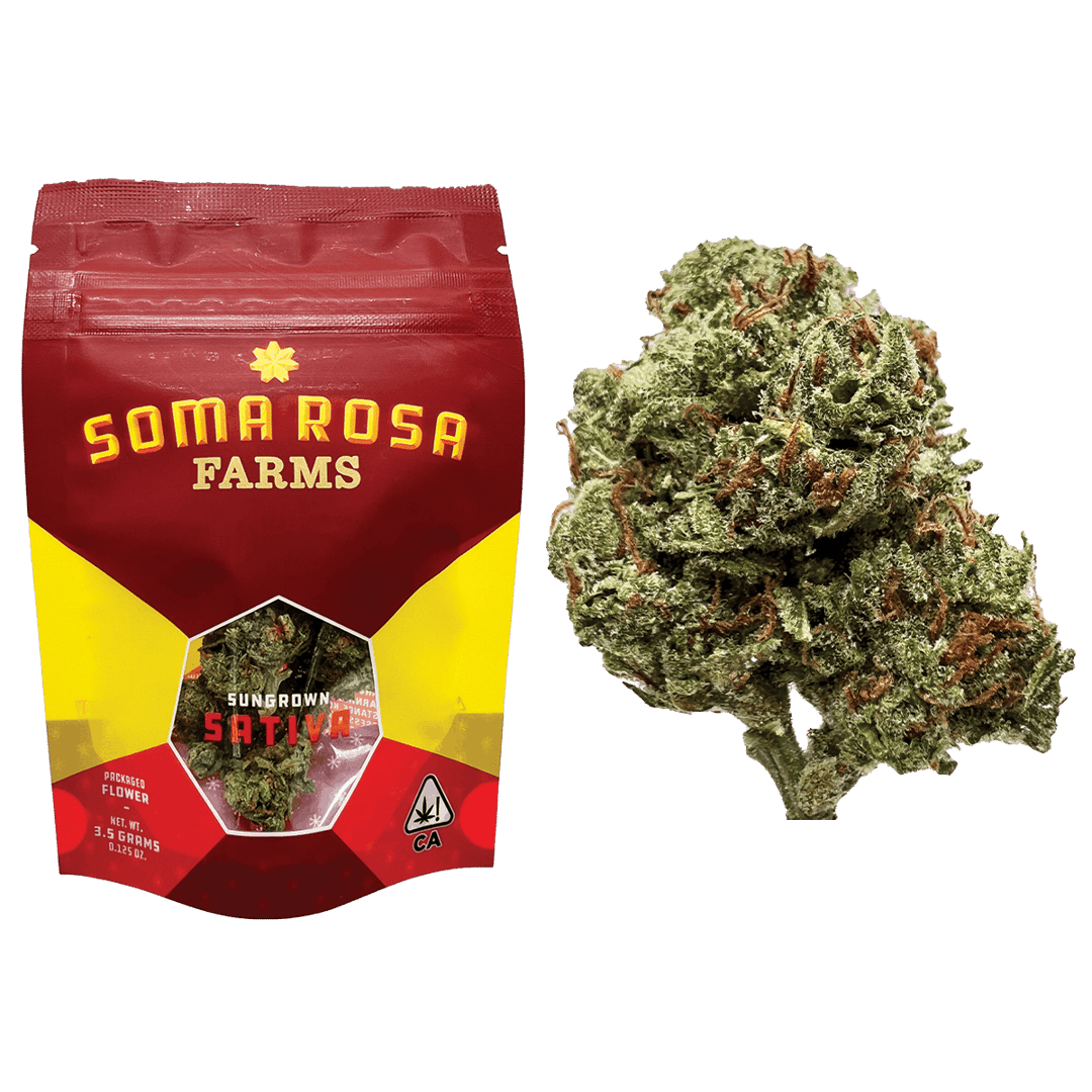 Blue Dream - 1/8th Pouch