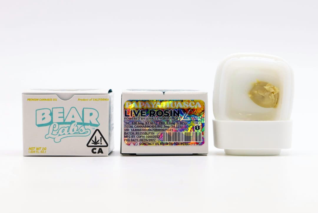 Papayahuasca T1 Live Rosin - 1g