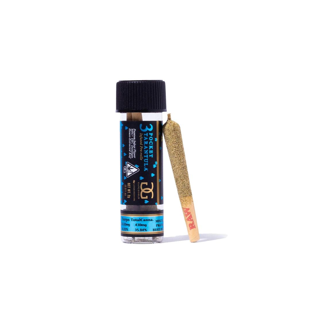 Blue Pocket Tarantula (Gelato ICE) 2g (3 pack indoor)