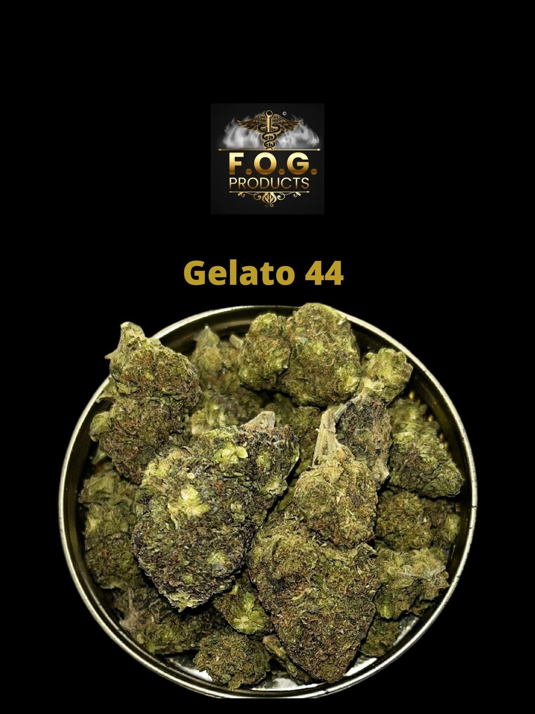 Gelato 44 *BUDGET TIER*