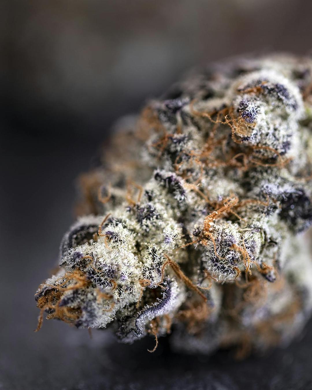 Pure Michigan 3.5 grams