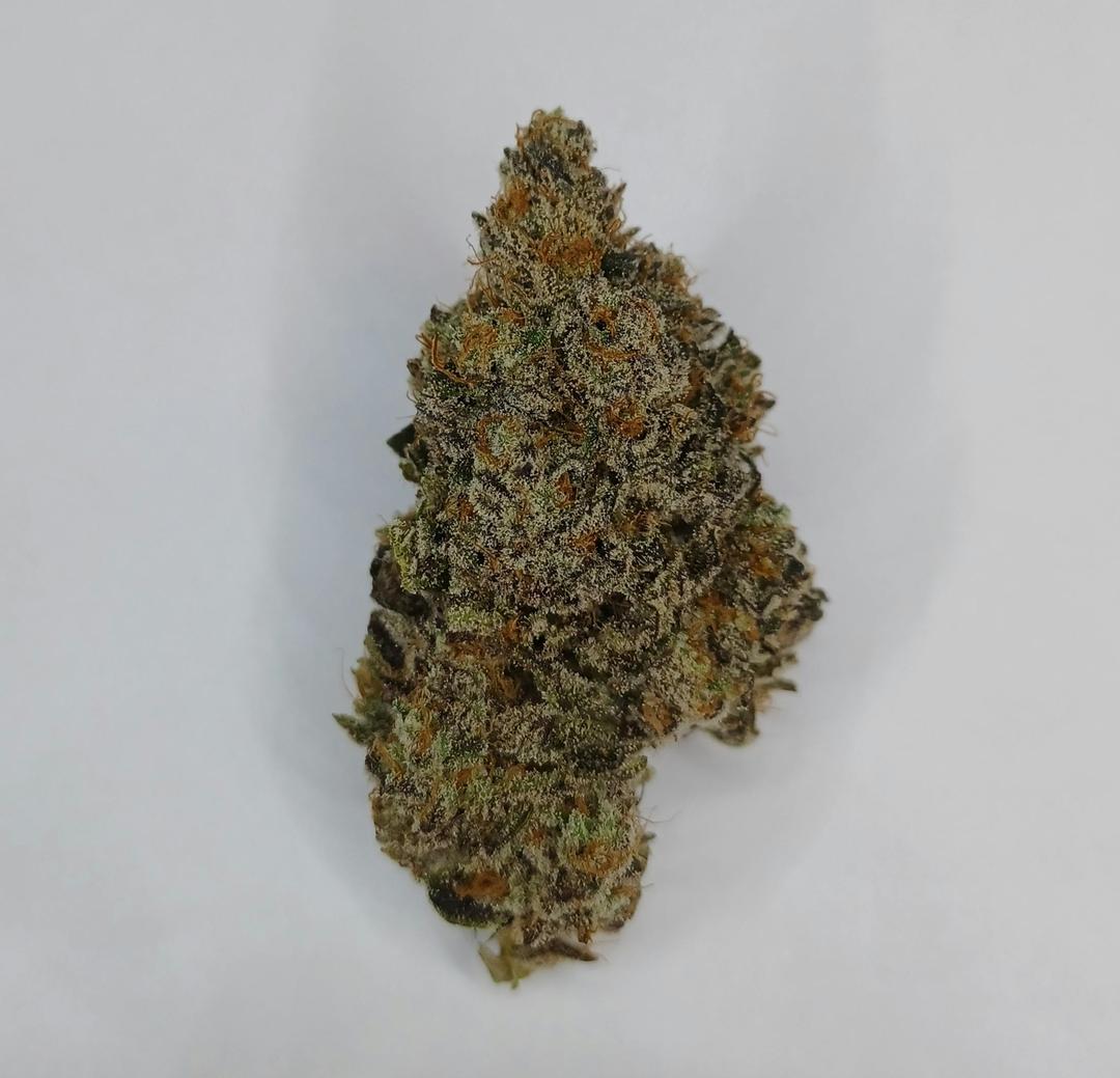 Lavender Jack