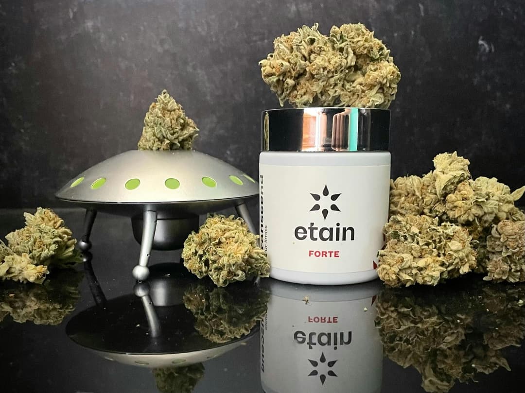 Forte Whole Flower - Alien Cookies (AC)