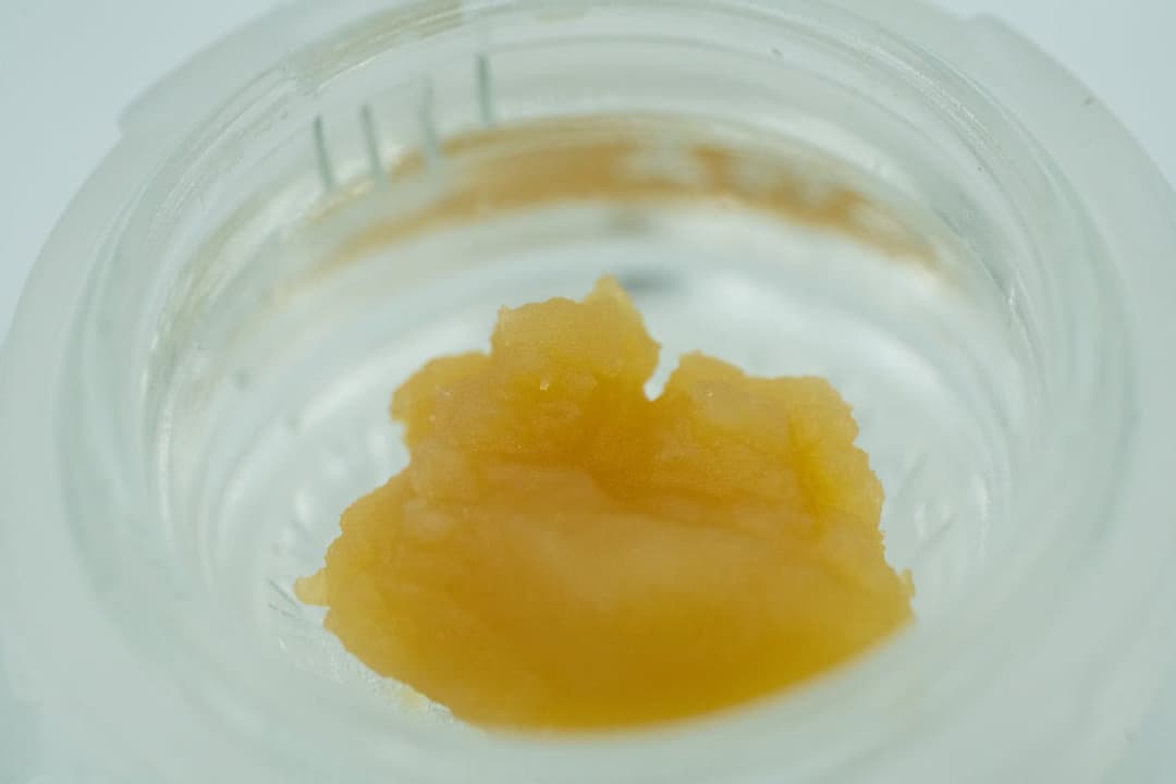 Gorilla Dawg Sugar