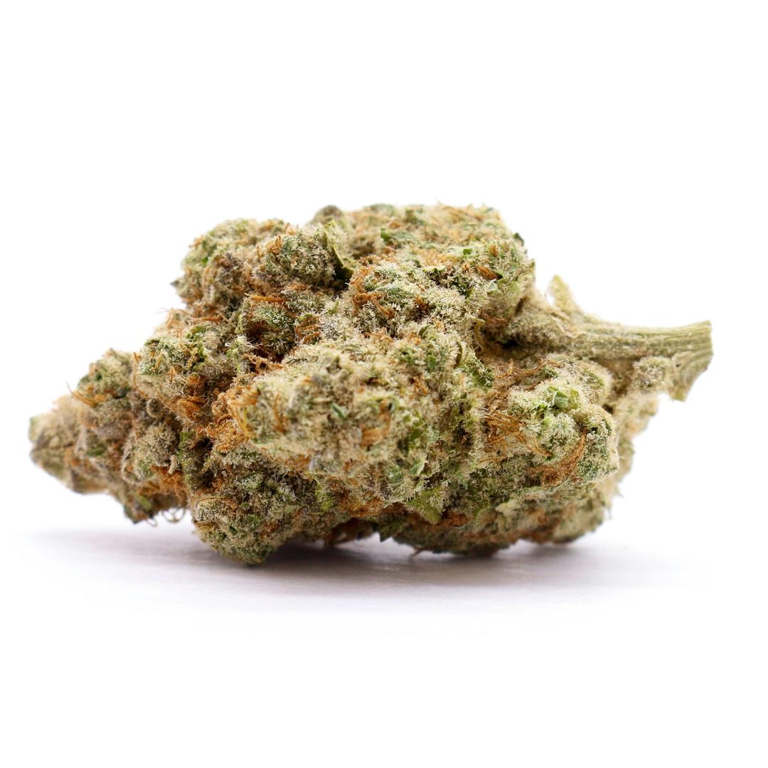 Chela - Indoor - Sassy Strawberry
