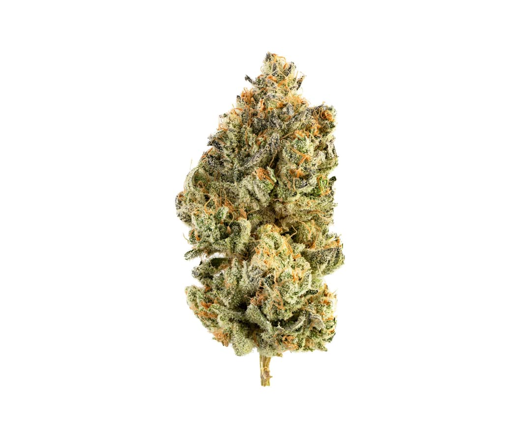 Sour Garlic Cookies #3
