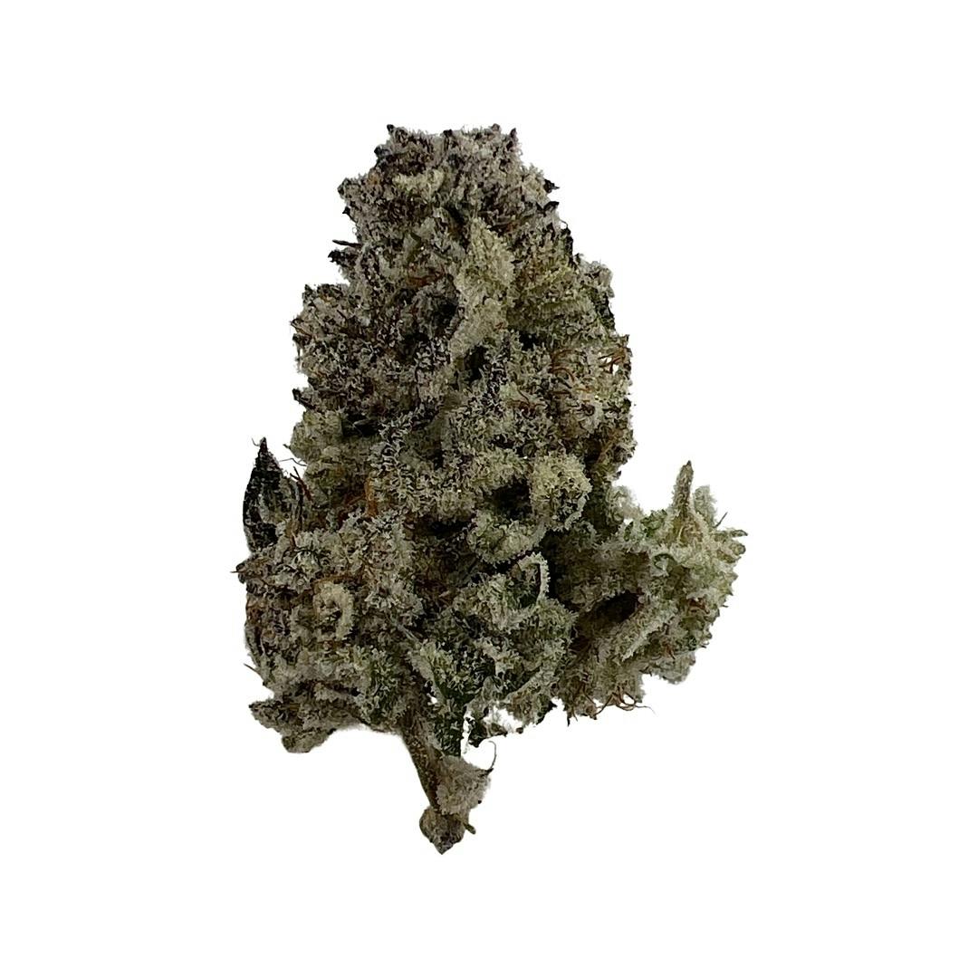 Mimosa Evo