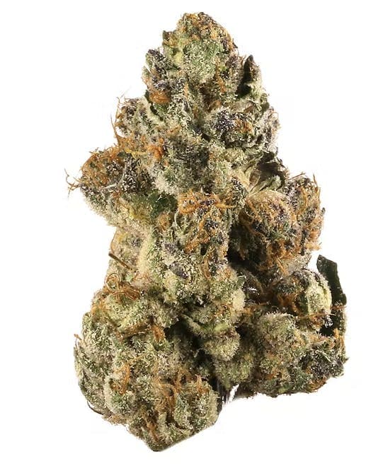 Cinnamon Gelato - Hybrid - 32% THC