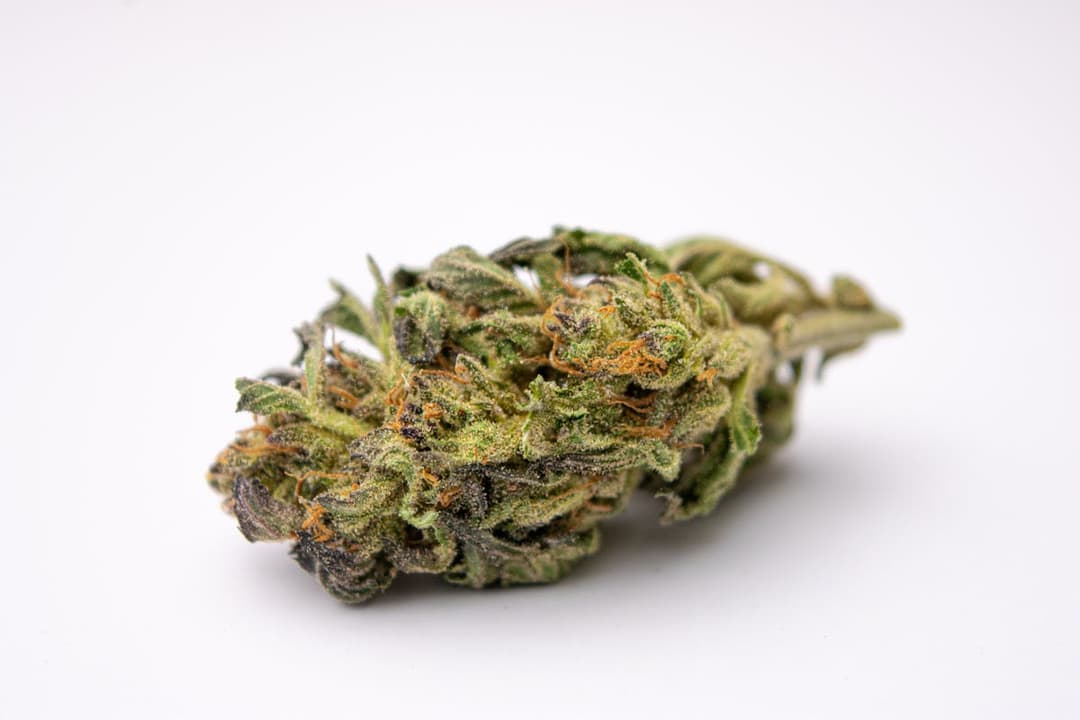 Chile Verde 1 Gram (23%THC, Hybrid)
