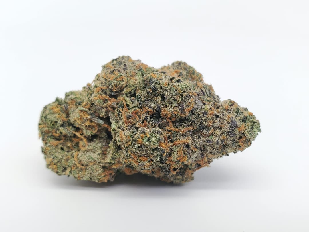 Gelato 41 - Jar 1/8th