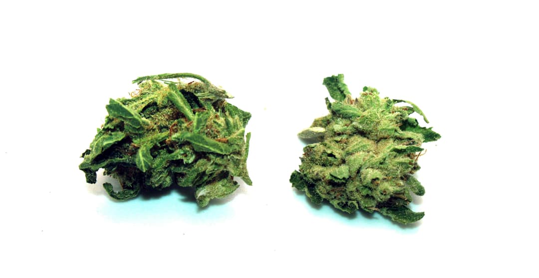 Fatso Smalls Ounce/28 Grams (37% THC, Indica)
