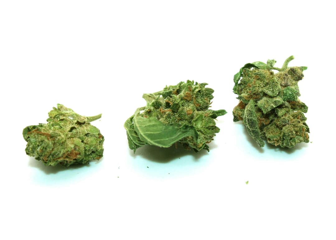 Gelato Cake Smalls 1/2 Ounce/14 Grams (16% THC, Hybrid)
