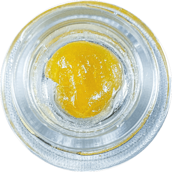 Fruit Snakz