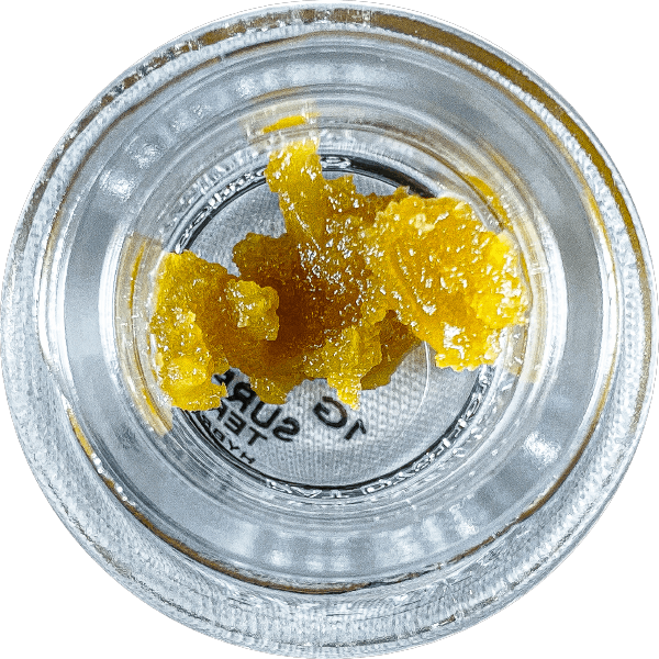 Surf N Terp