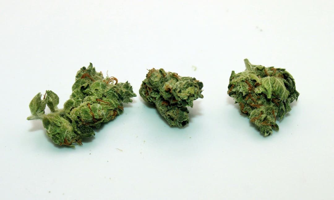 Wedding Cake Smalls 1 Gram (21% THC, HYBRID)