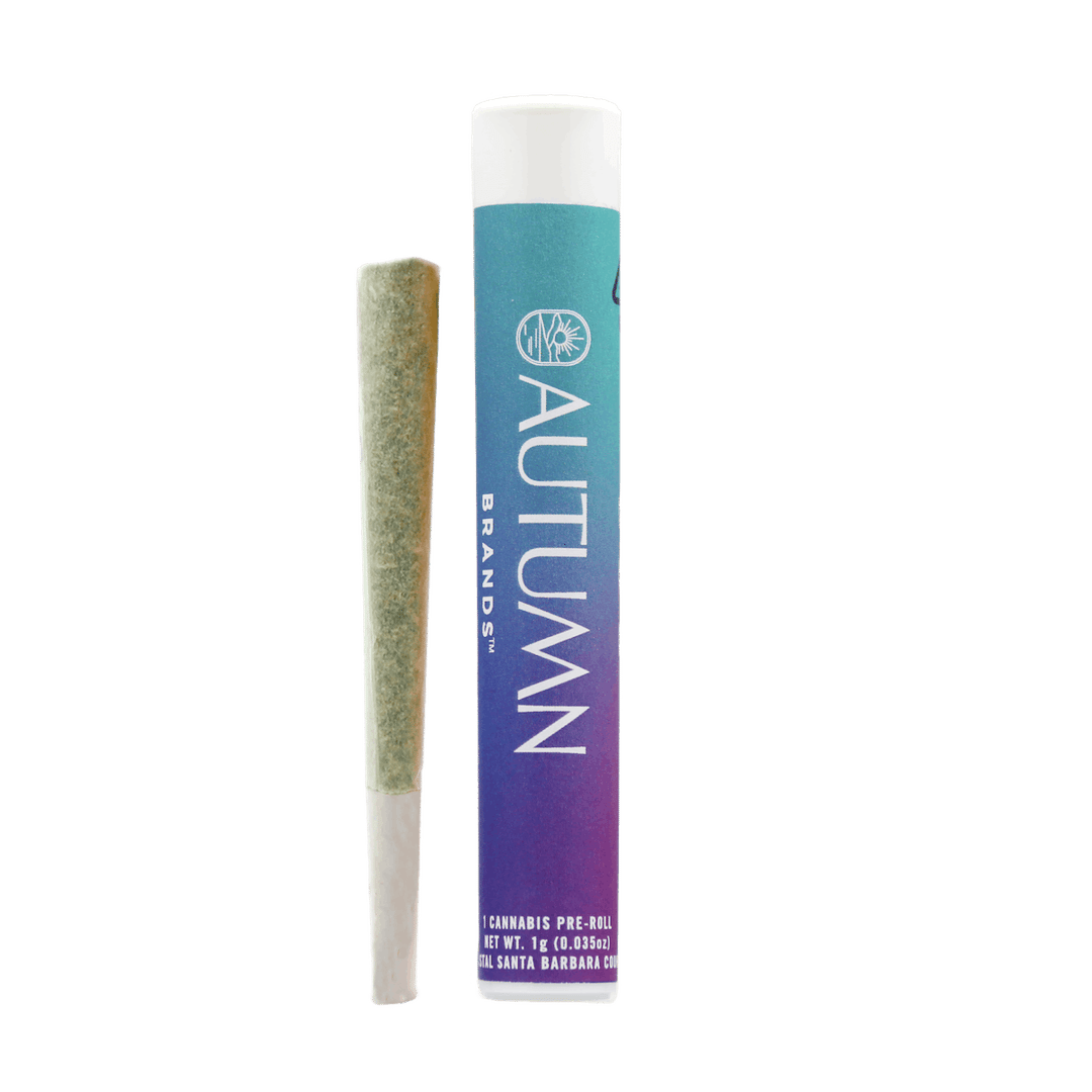Galactic Doughnut 1 Gram Preroll