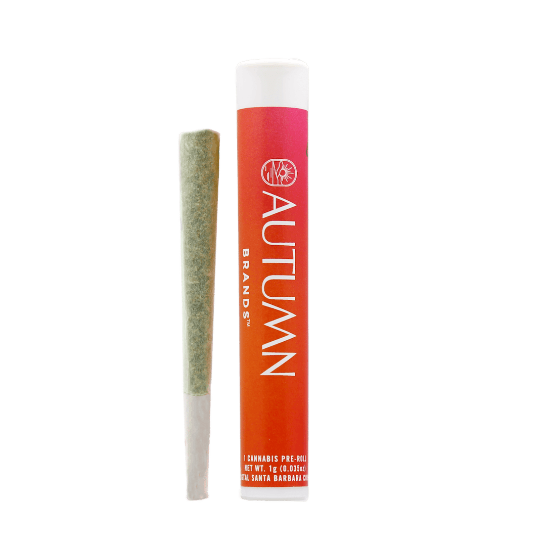 Banana Zkittlez 1 Gram Preroll
