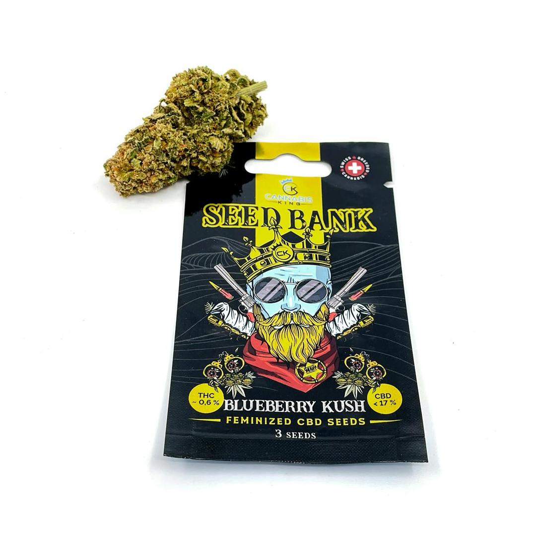 Blueberry Kush Feminized - Cannabis King Seed Bank