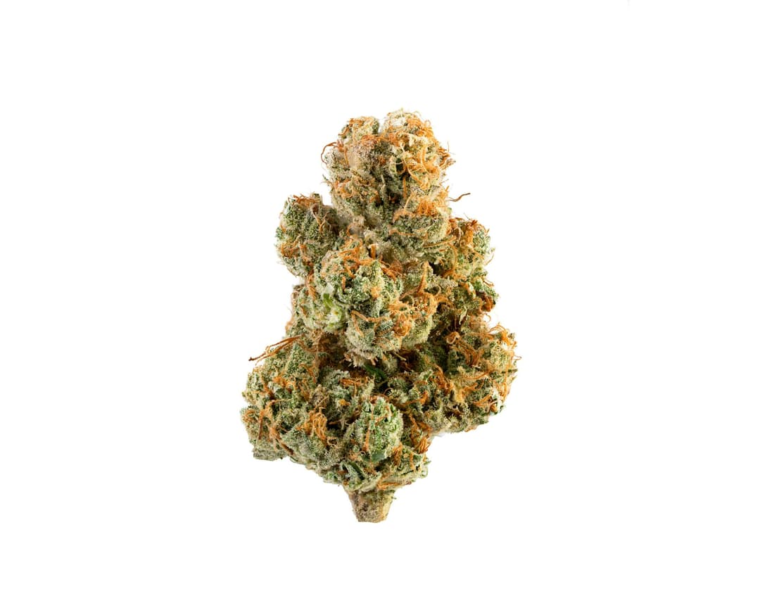 Crusher #5
