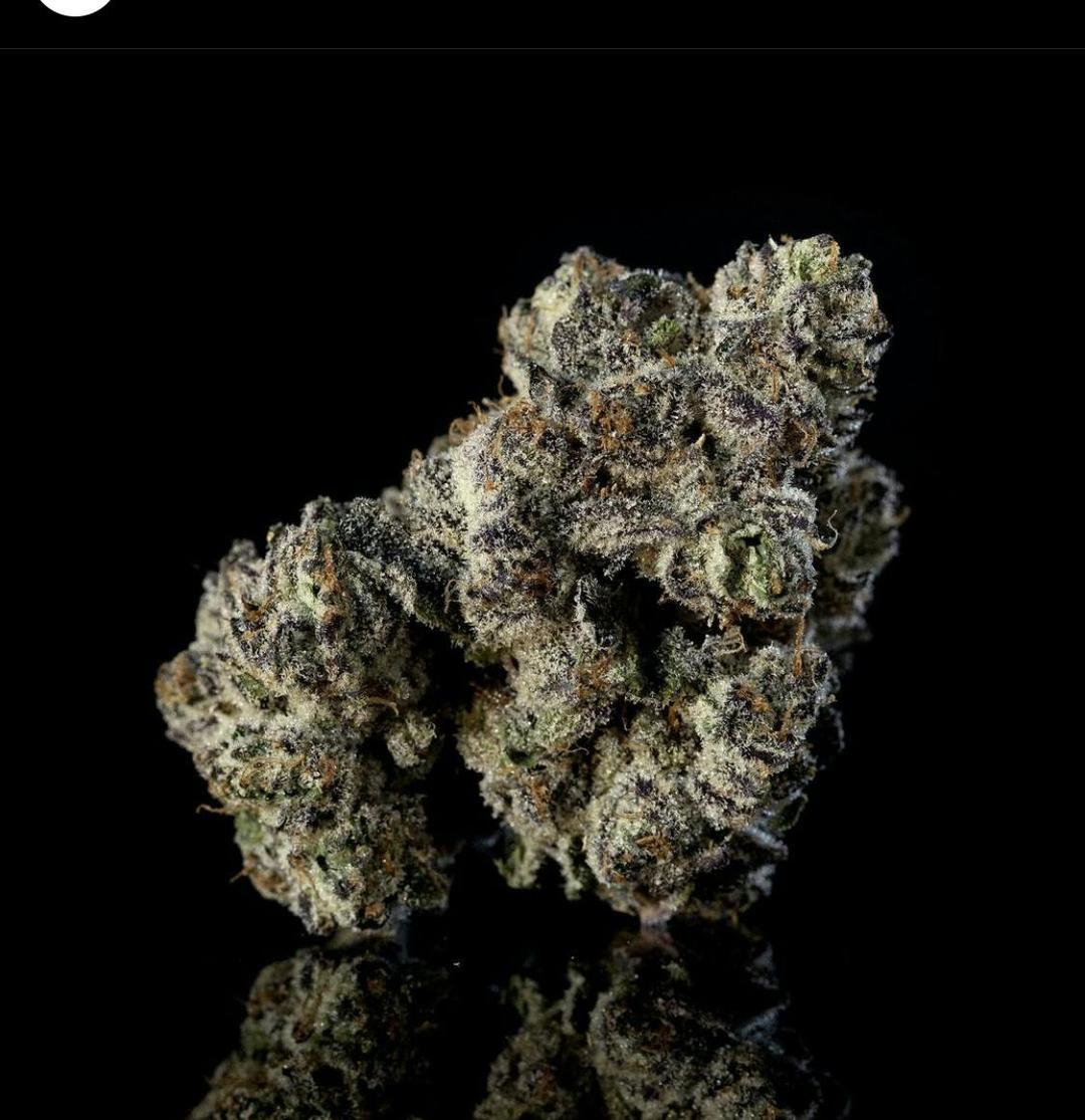 Blueberry Fritter