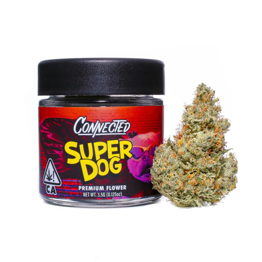 Super Dog - Indoor