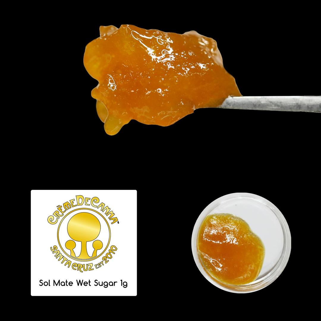 Coastal Sun Collab - Sol Mate Wet Sugar 1g