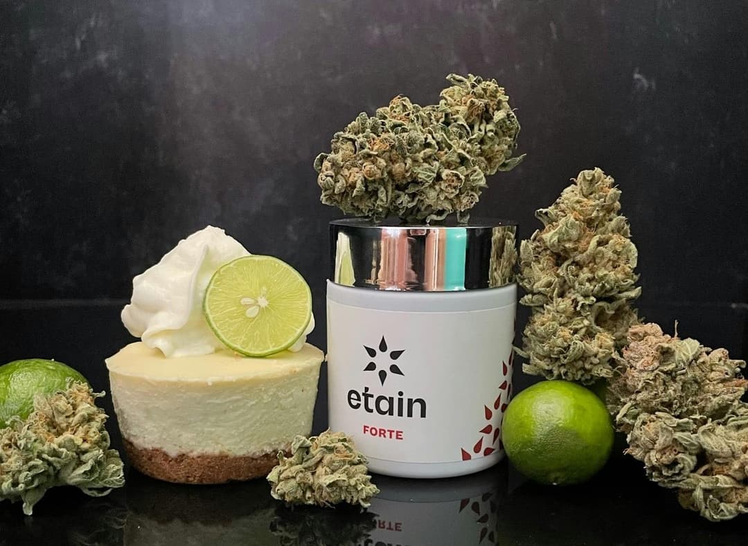 Forte Whole Flower - Key Lime Cookies (KLC)