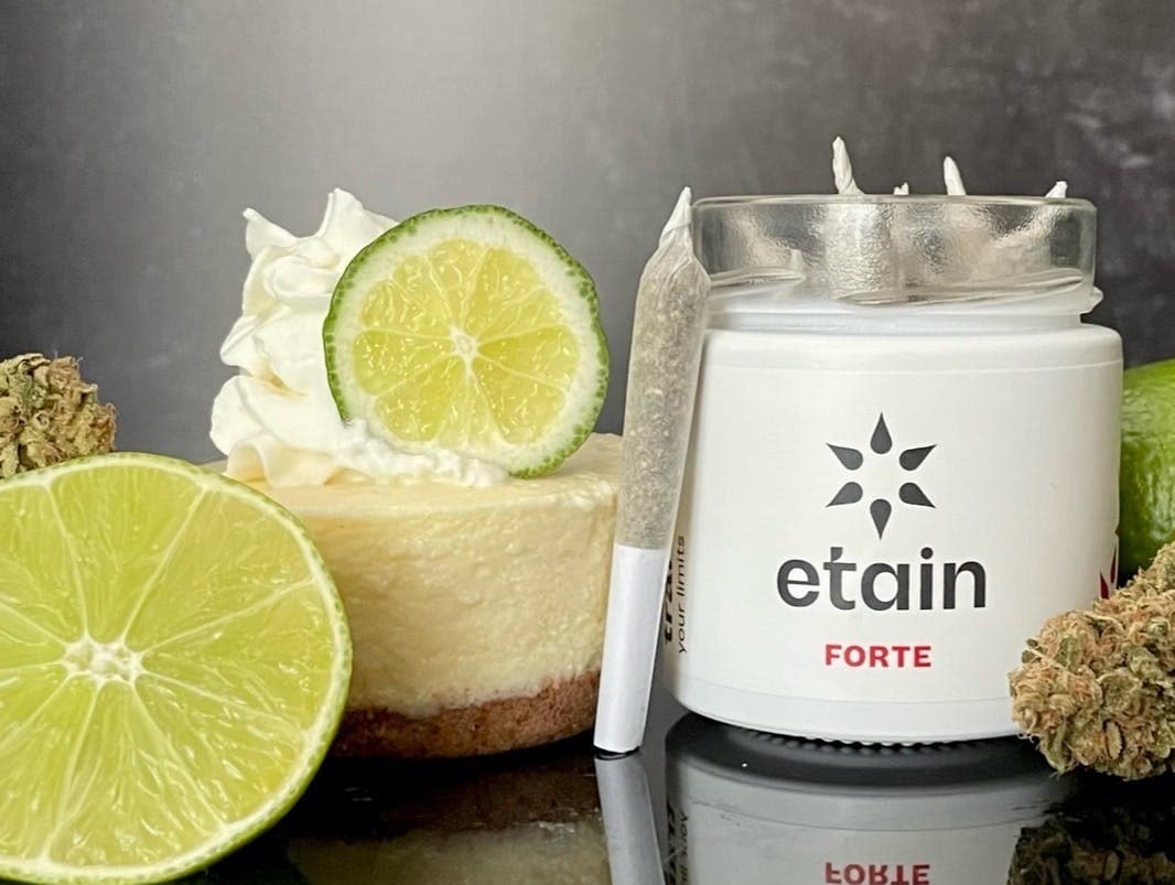Forte Mini Pre Rolls - Key Lime Cookies (KLC)
