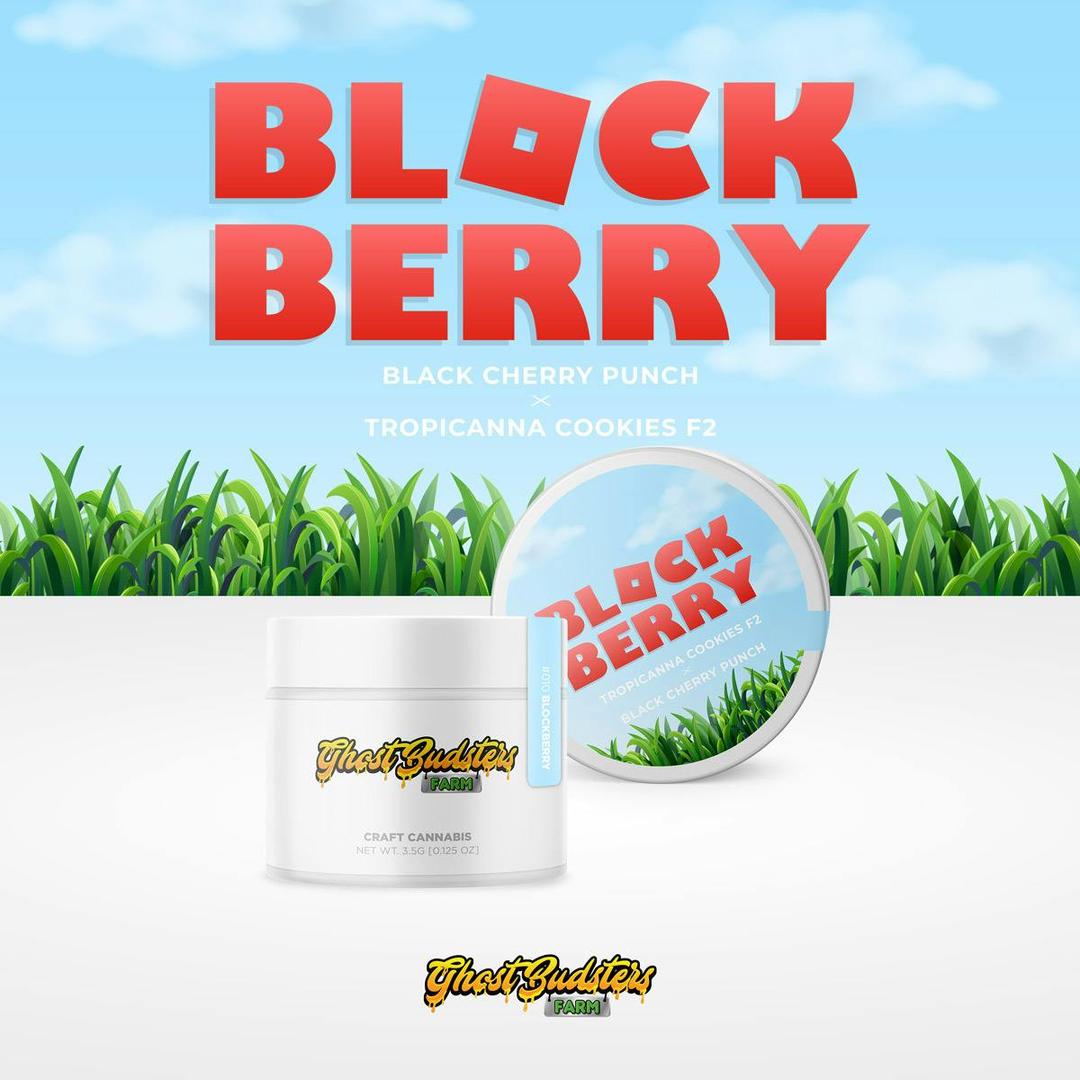 BlockBerry | Pre-Packaged Eighth | GhostBudsters Farm