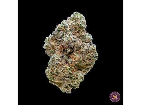 Banana Cream Cake X Jealousy Indoor Flower (3.5 Grams)