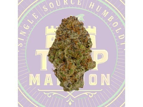 Banana Punch Mixed Light Flower