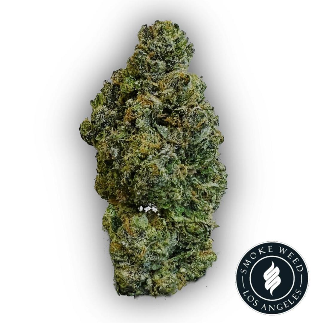 Smoke Weed LA - Fido Dido (Runtz x Stomper) 5g