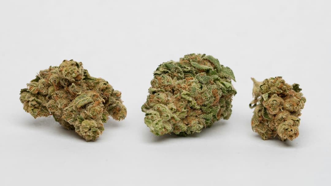 Gelato #33