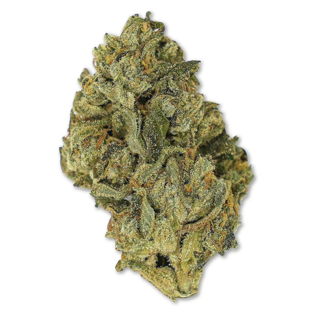 Nepenthe Cheesewreck Flower 1 oz.