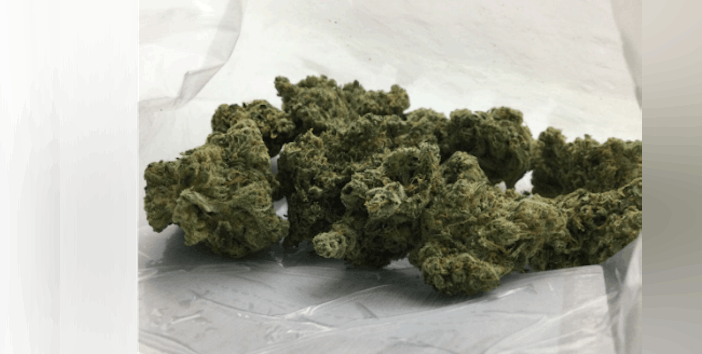 Indoor Flower 3.5 Gram - Durban Poison (Sativa)