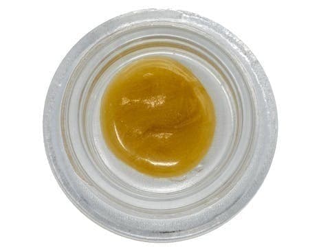 Kombucha Cured Rosin (1 Gram)