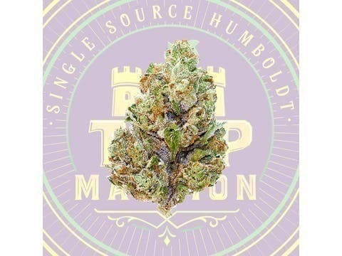 Zkittlez X Chem Mixed Light Flower (3.5 Grams)