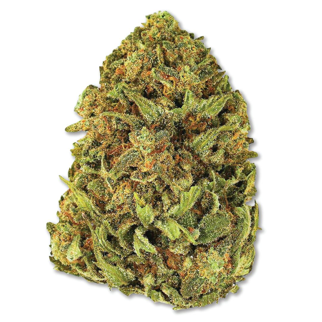 Nepenthe Phantom Cookies Flower 1 oz.
