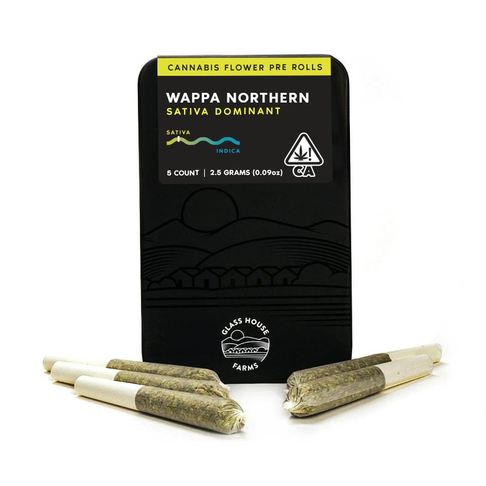 Wappa Northern [5 Pack]