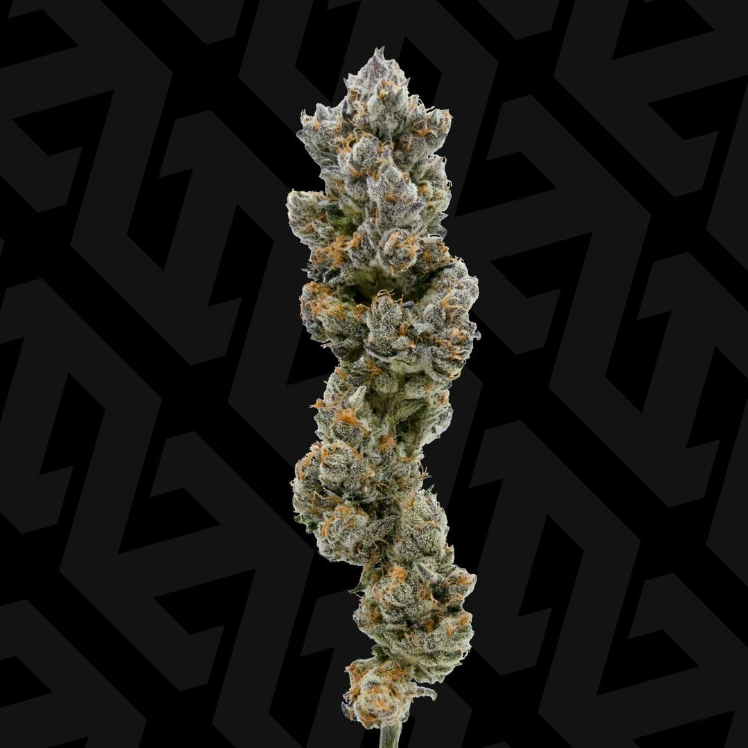 Sugar Cone