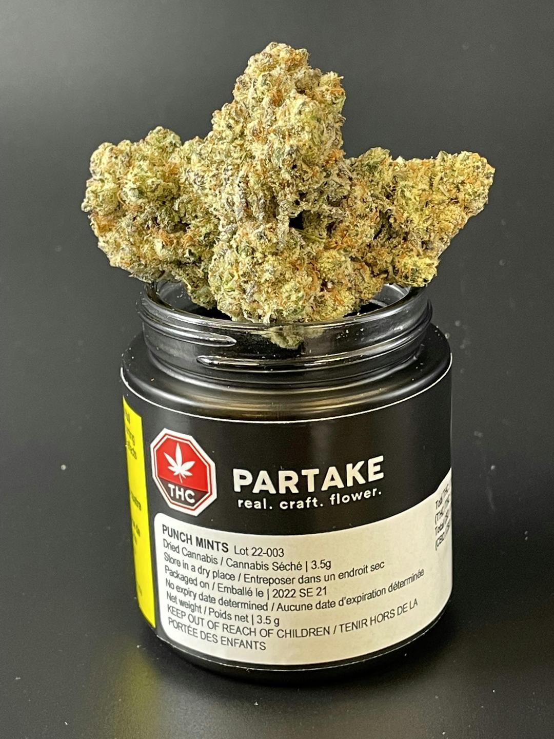Punch Mints 3.5gr Flower