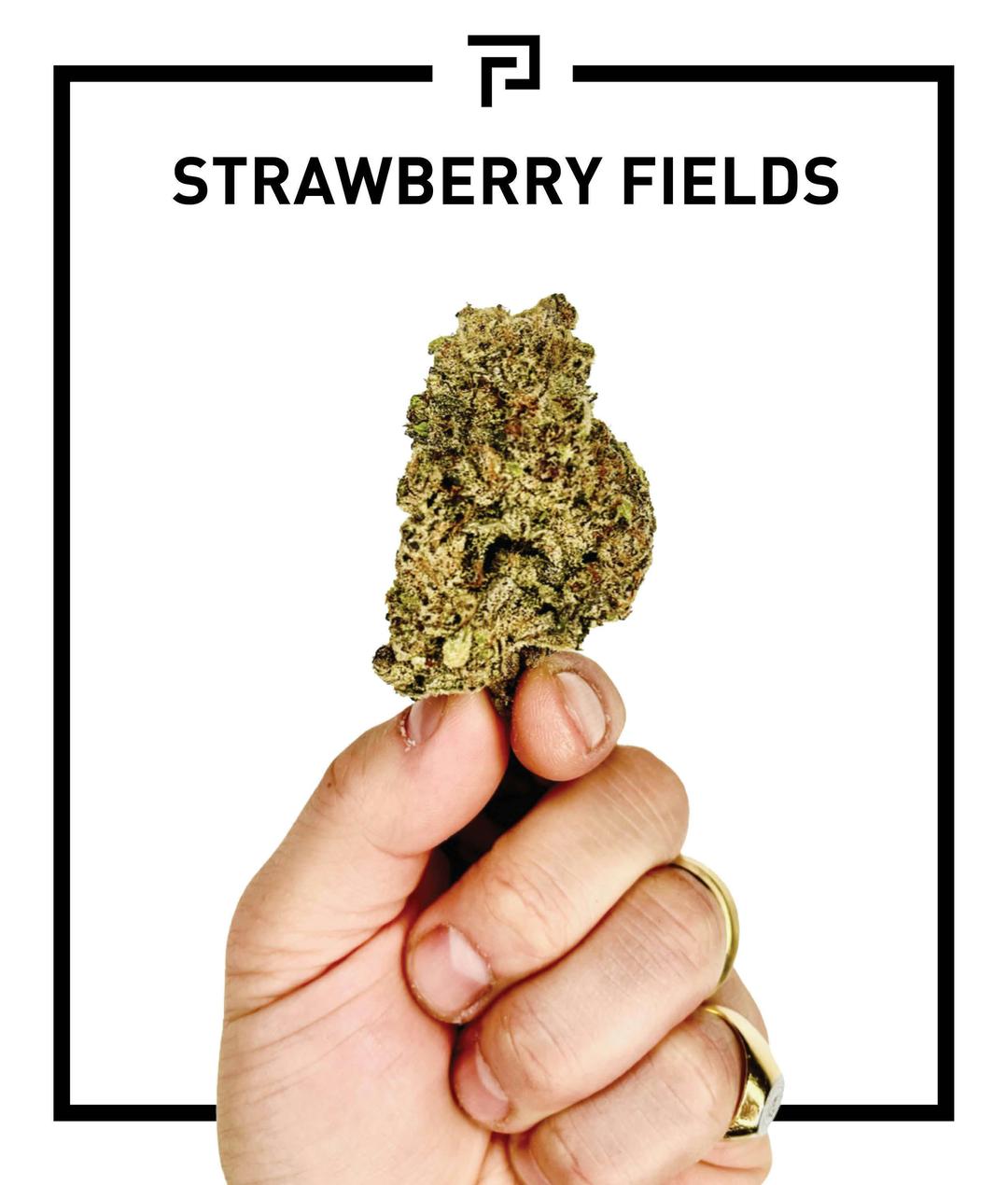 Strawberry Fields | 3.5g Flower