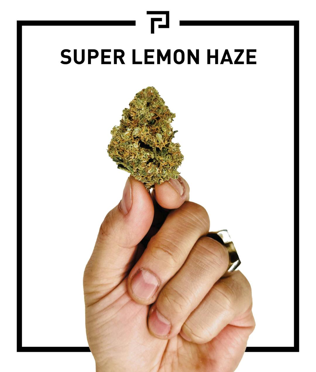 Super Lemon Haze | 3.5g Flower