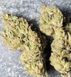 $75 Ounce of the Day - Litre a' Cola - SMALLS ONLY